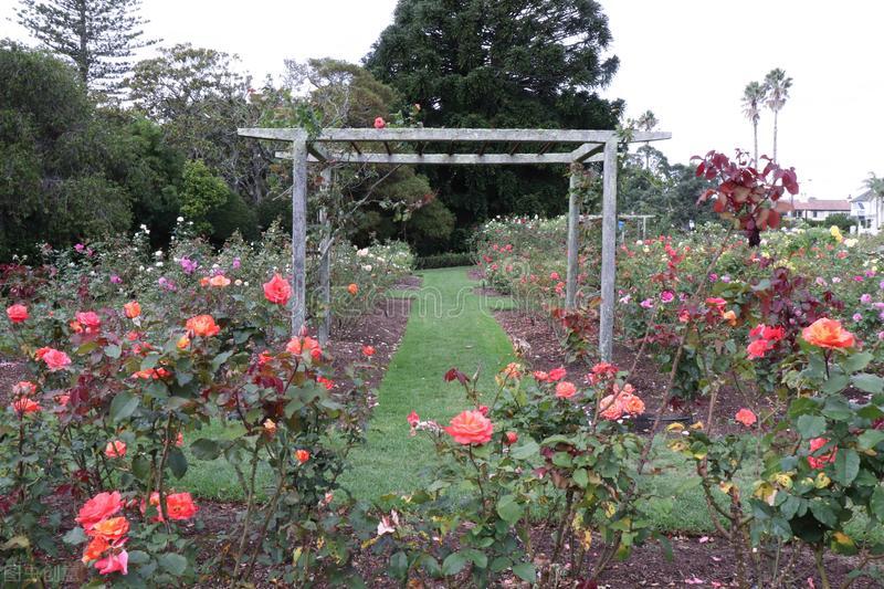 庭院花架怎样搭最便宜,庭院花架高度有什么讲究