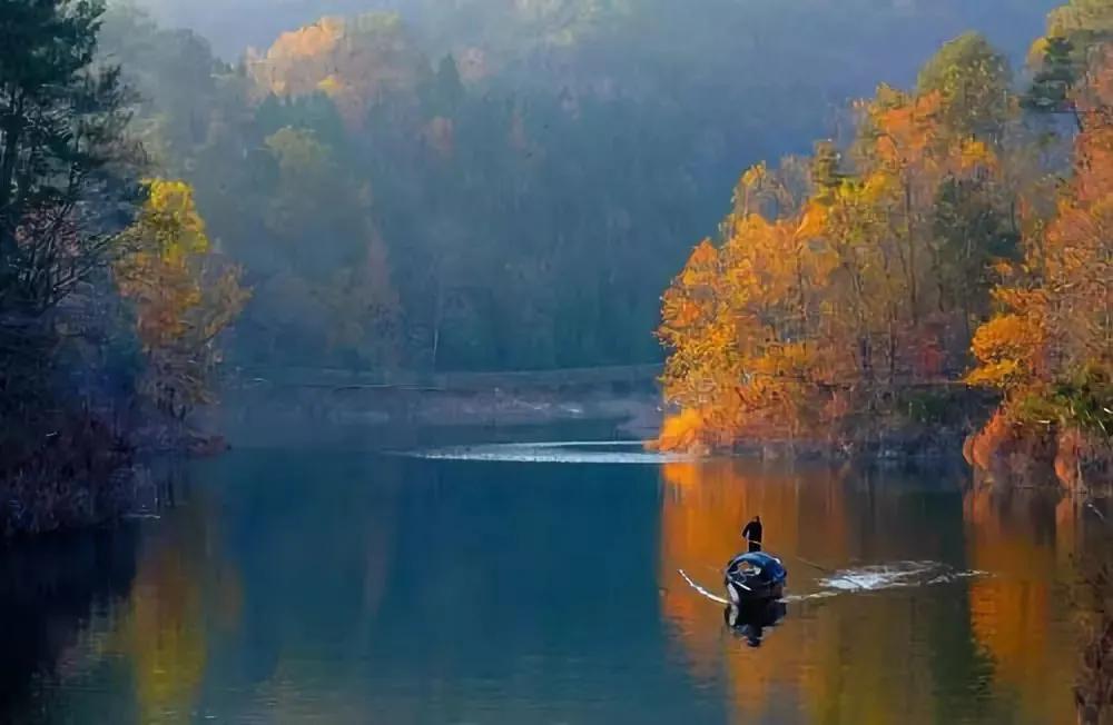 真正一线湖景！千岛湖这家“颜值杀”民宿自带一个超强属性