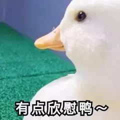 眉毛印章？蔬果蒸脸器？求求你们别再交智商税了！！！