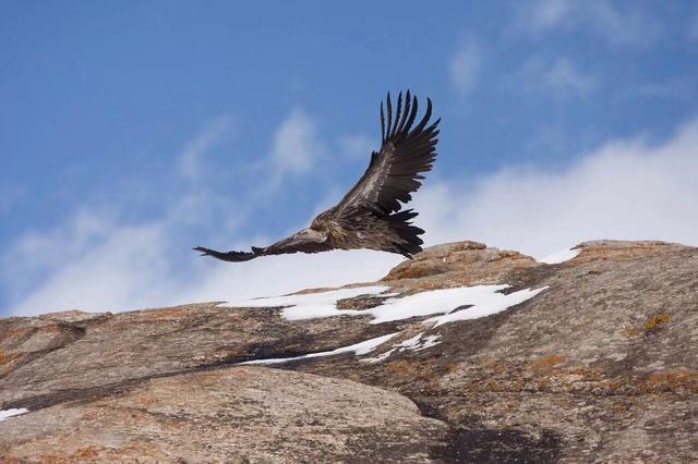 期货交易时机选择,期货方向确定后如何入场