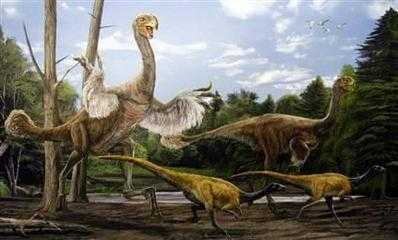 生物进化论存在的三种疑点,生物进化论中的未解之谜