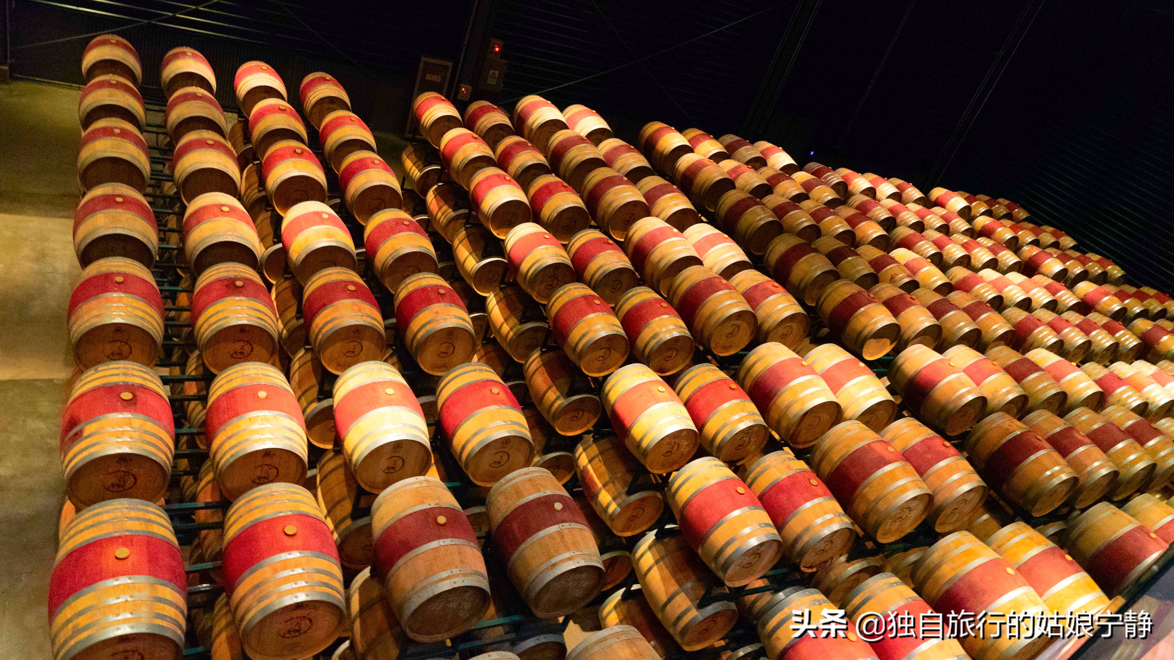 宁夏贺兰山东麓葡萄酒酒庄排名,宁夏十大顶级葡萄酒