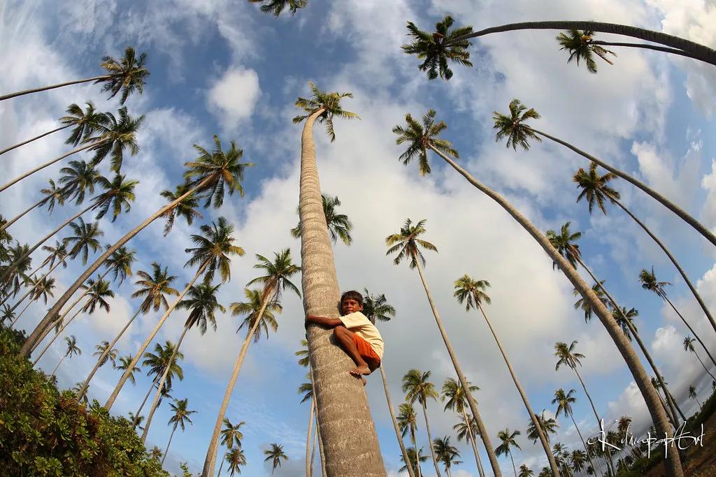 吃19块钱的海鲜自助,深圳133块钱海鲜吃到爽