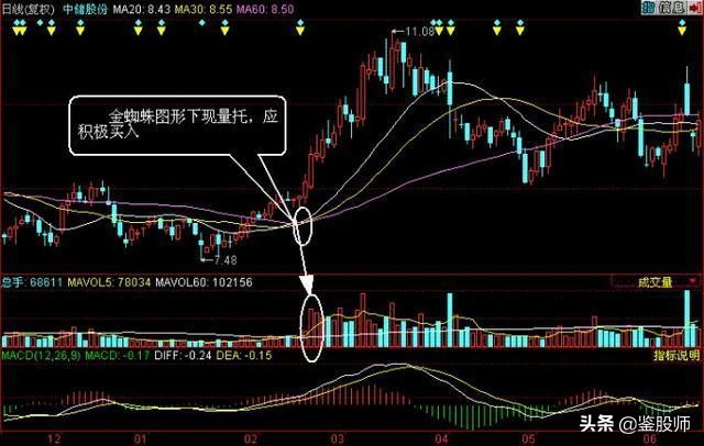 只需一条线看股市,简单看懂一只股票