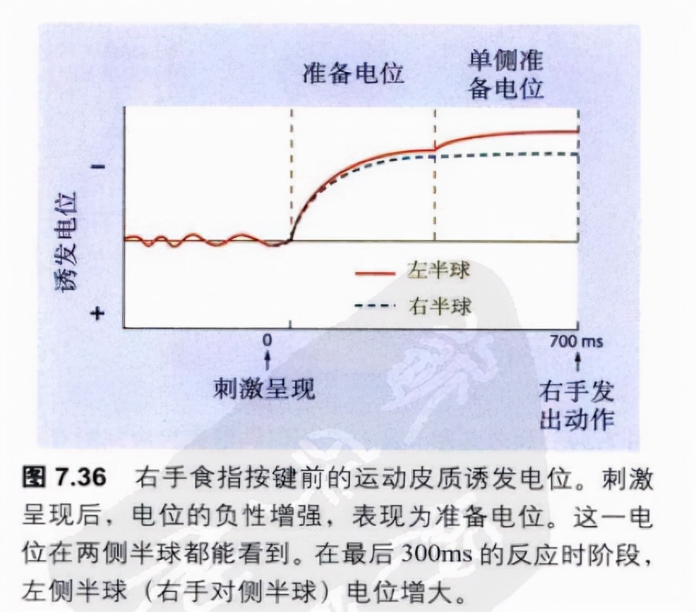 像章鱼一样的外星生物有哪些,长得像章鱼的外星人
