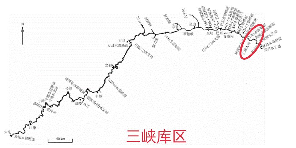 10℃是防线!非洲鲫鱼侵入三峡水库,6个月可繁殖1代,会泛滥吗?