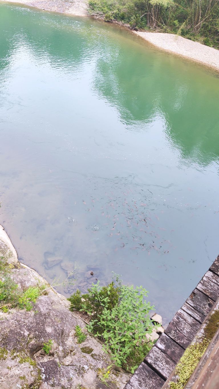 武夷山两天一夜要带什么去,旅游团武夷山两天一夜游99元