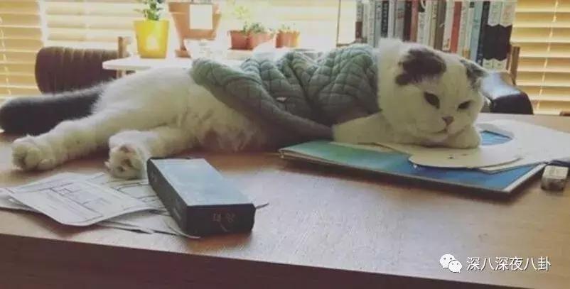 珍惜一切不要和陌生人说话,累的时候不要和陌生人说话