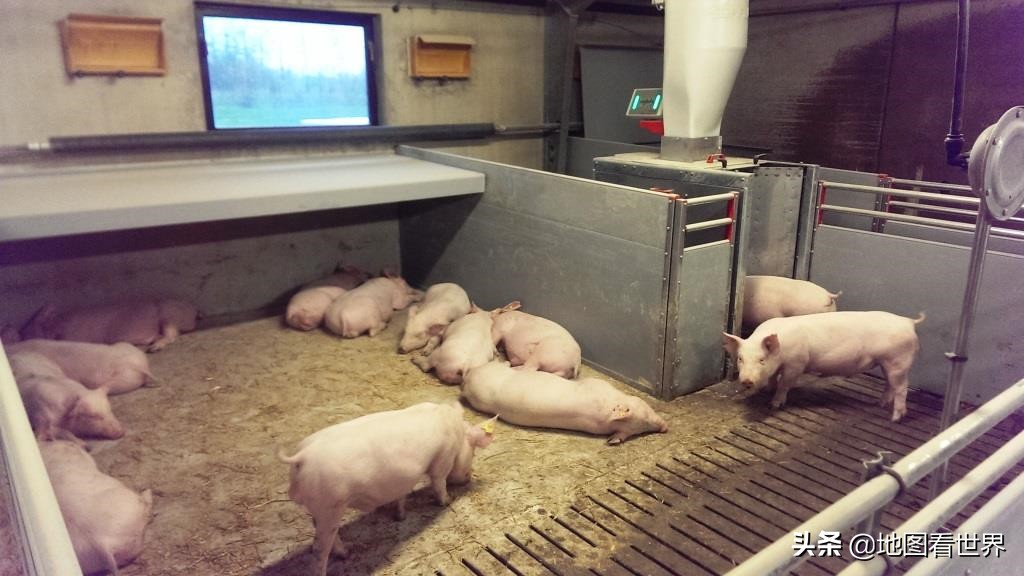 维京人血统最纯正的国家,丹麦真正的王国