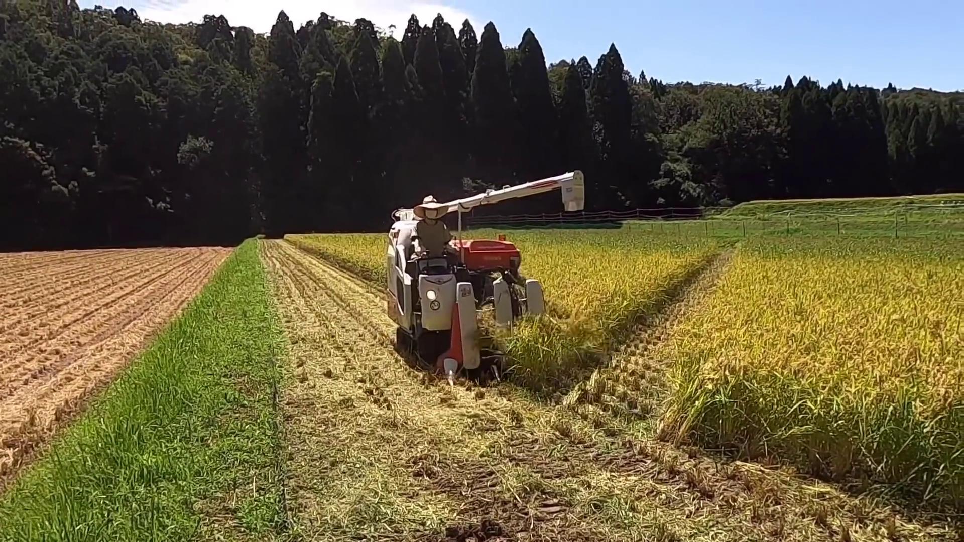 久保田230小型水稻收割机,小型久保田收割机2023新款价目表