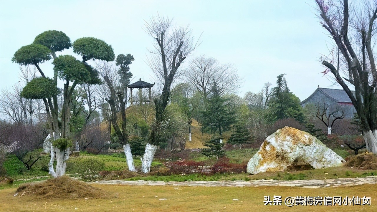 小池带大家去哪里玩,小池玩的地方