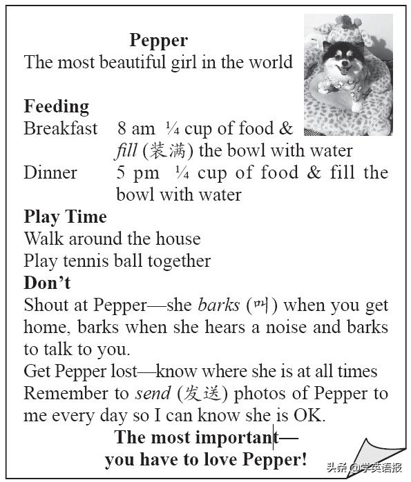 七年级下册人教版英语unit4习题,英语人教版七年级下册unit4阅读课