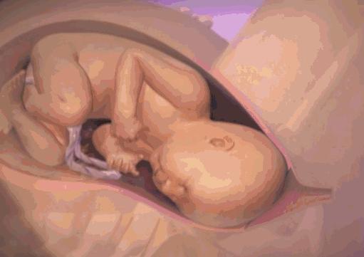 生宝宝到底有多疼看完这个就知道,生孩子到底有多疼让爸爸告诉你