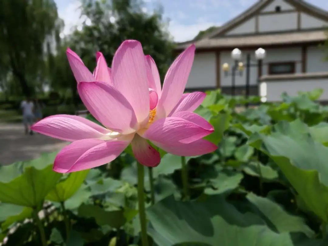 天津出发坐高铁到太原可以出站吗,从天津出发高铁可到达多少城市