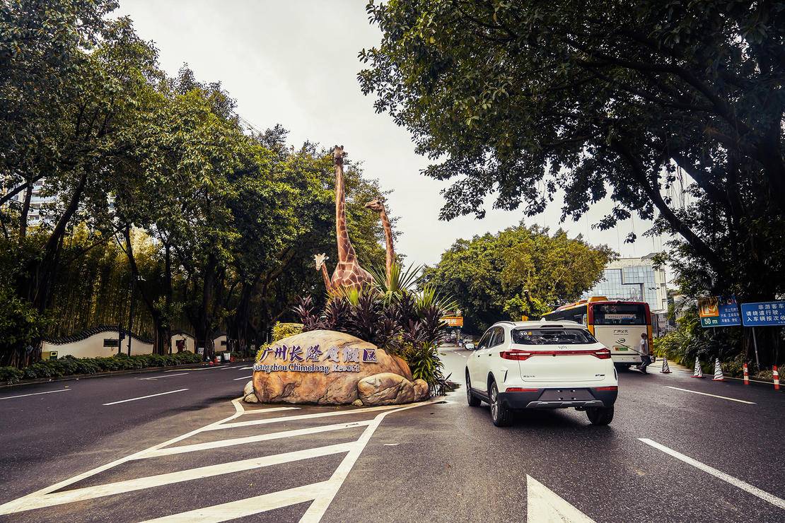 打卡长隆动物园记田妈和威马EX5520的周末