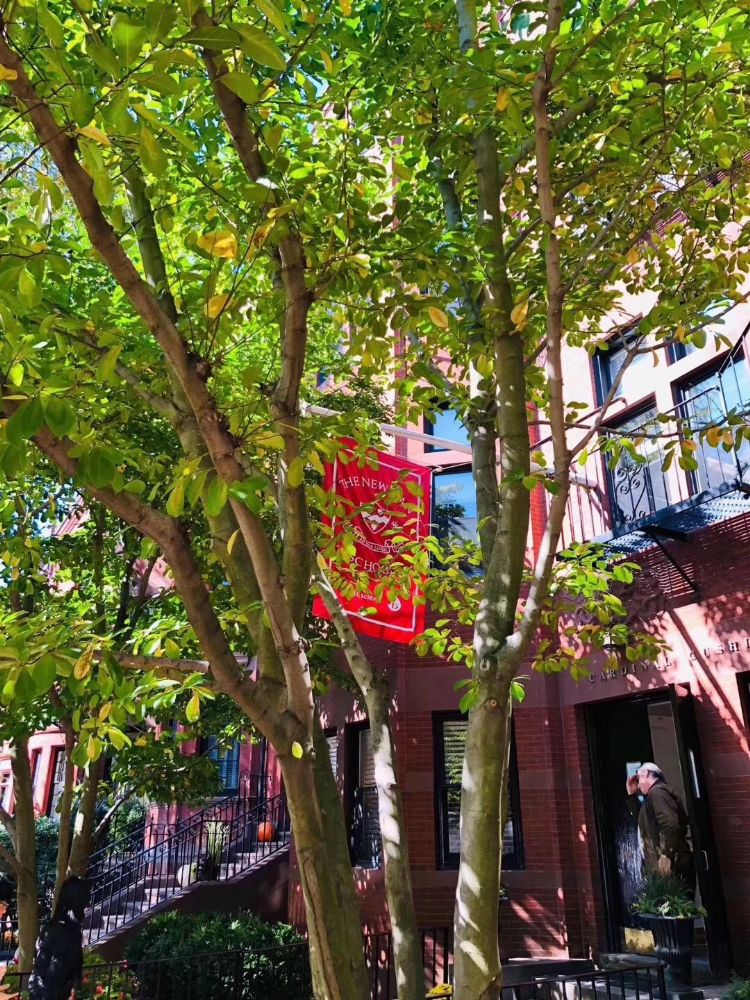 美国的农业大学排名,美国农工大学排名榜