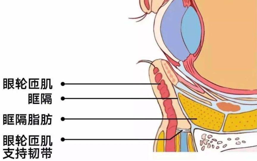 双眼皮效果好怎么形容,双眼皮半个月的效果怎么样