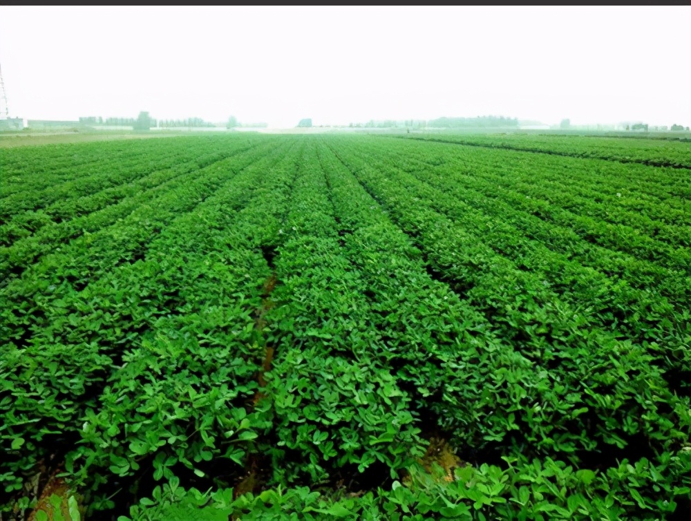 因为美，世界人民为何不爱它