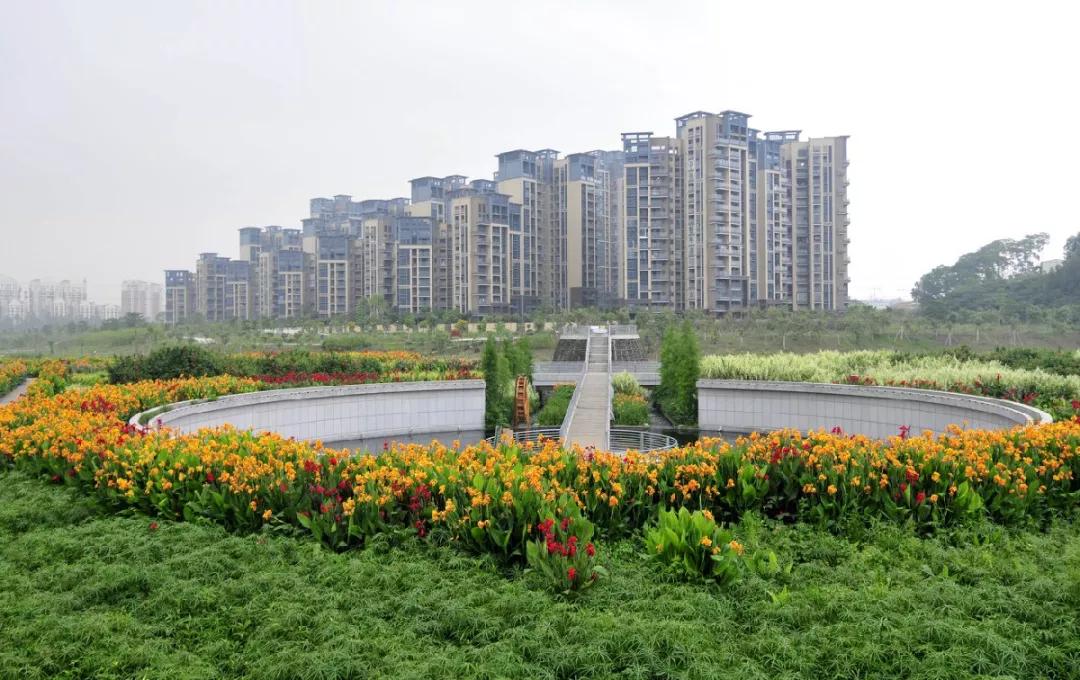 去深圳十大景点,到深圳必玩十大景区1天时间够吗