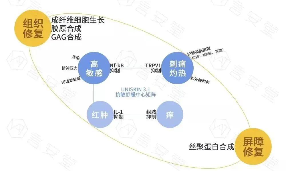 冻干祛痘面膜推荐,适合祛红痘印的面膜推荐
