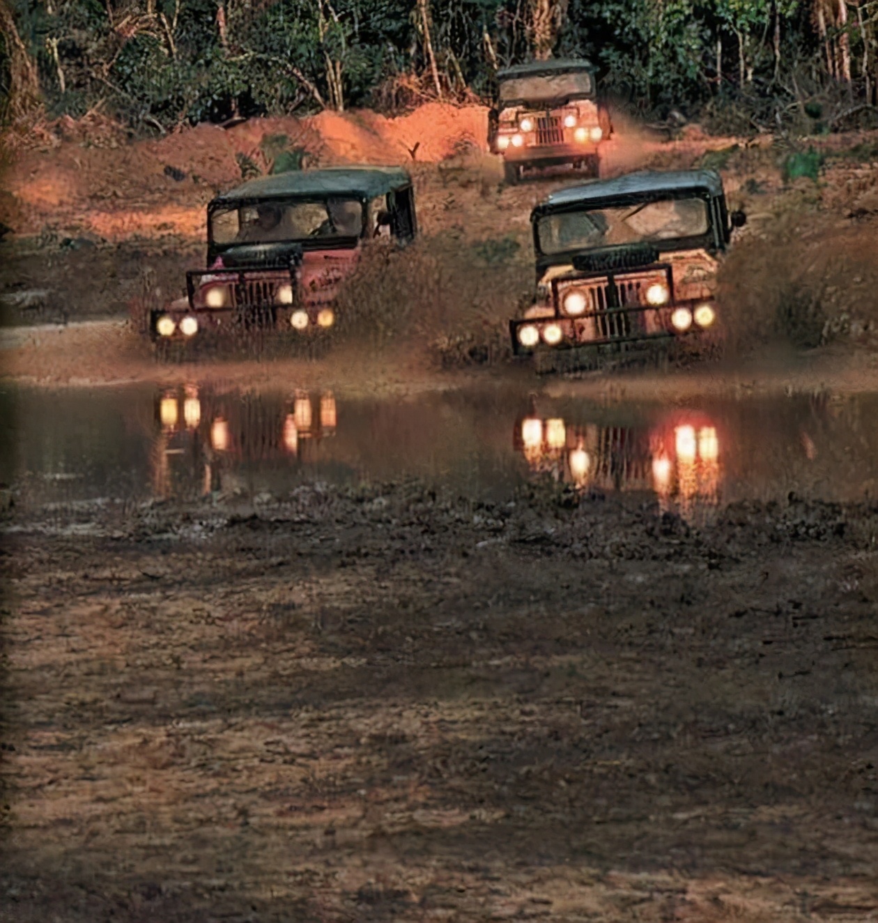 奥林匹克运动会停办的年份,奥林匹克竞赛取消了吗