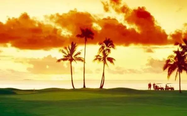 斐济自由行,斐济自由行交通方便吗