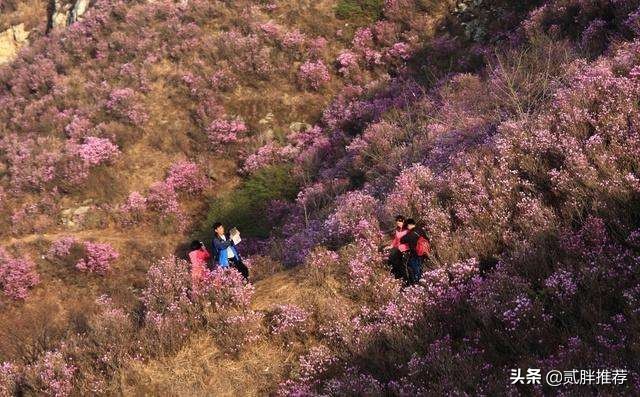 辽南高山景区,辽西九华山4A景区