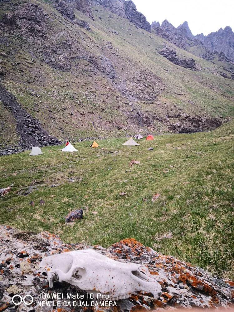 天狼之路是否值得一走,传说中的天狼