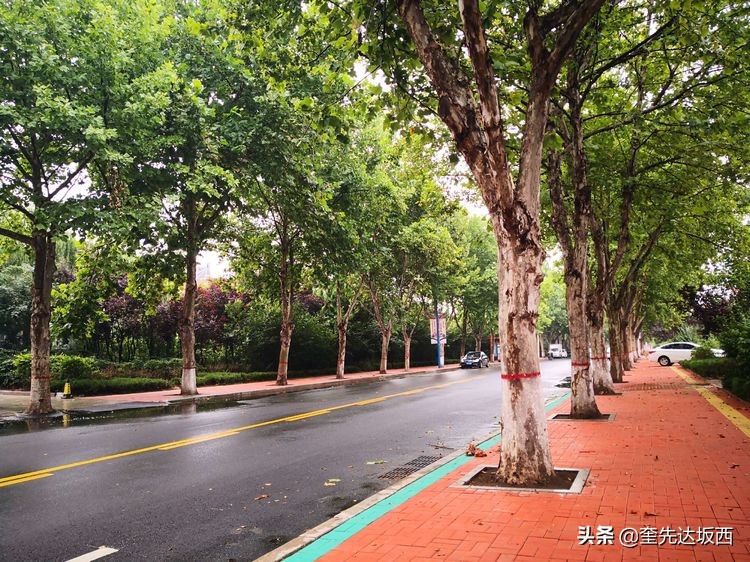 记录卖瓜的生活,卖瓜的生活实录