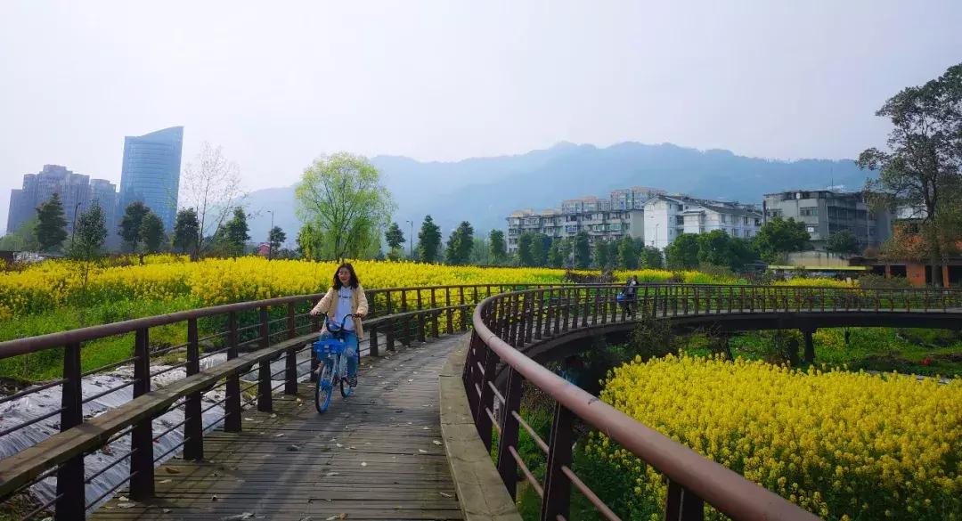 都江堰天府绿道骑行路线图,都江堰周边最美骑行路线