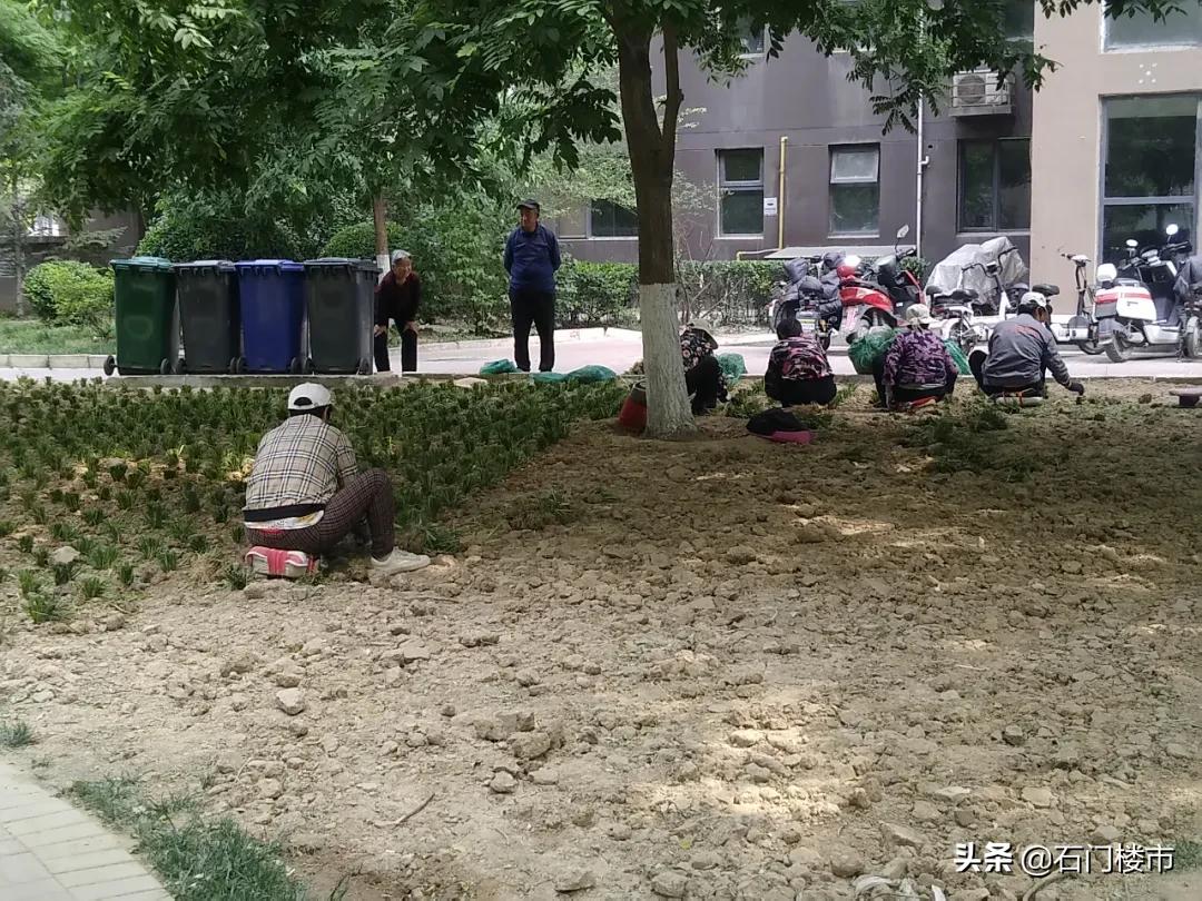 瀹炴帰鐑傚熬妤肩洏,浼楃編鐨勪簩鎵嬫埧