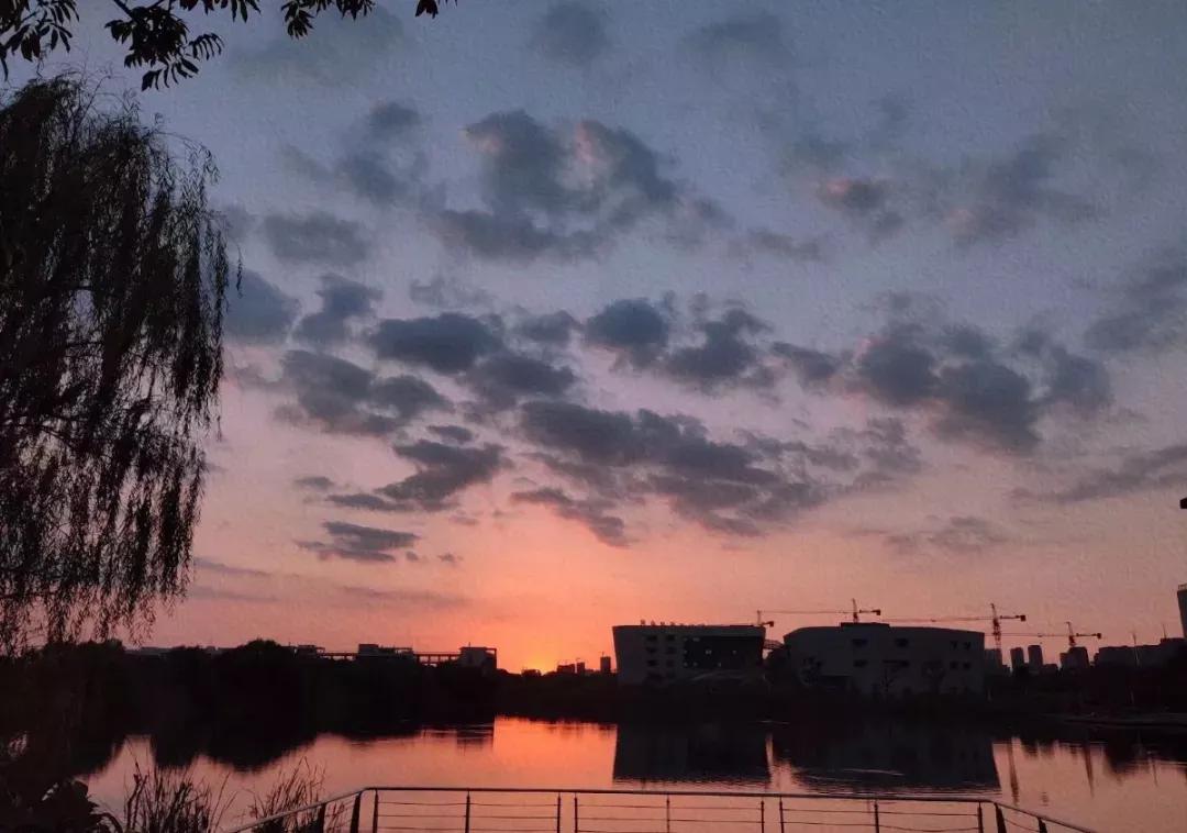 泰州学院和贵州师范大学,四十六所高校