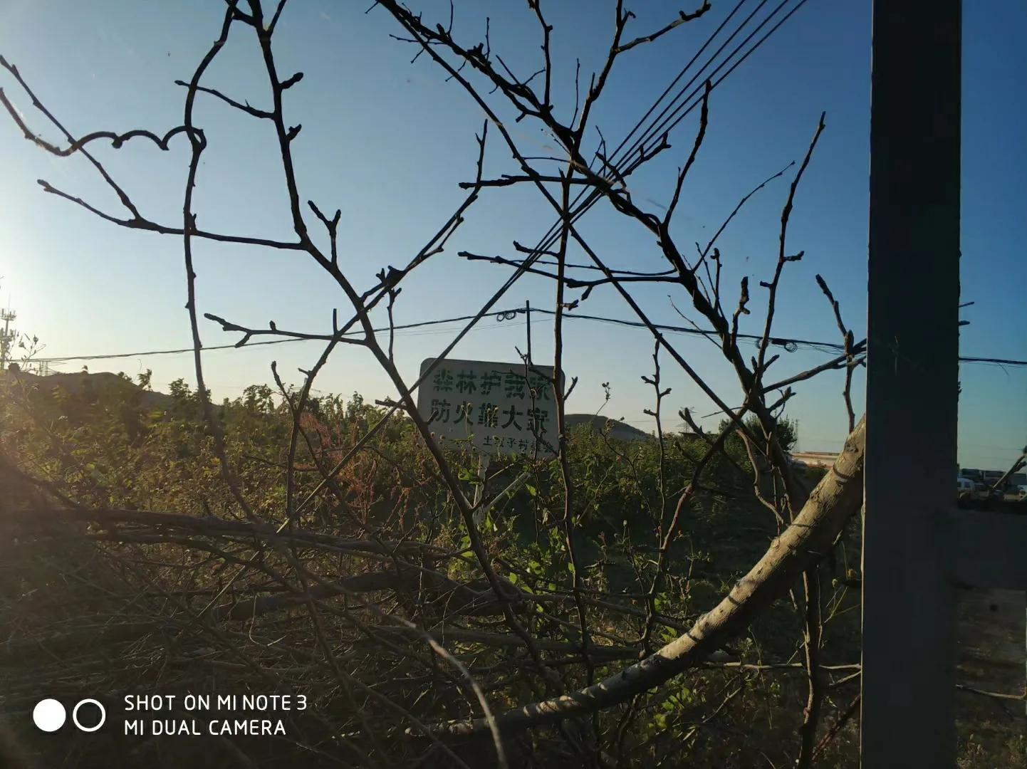 大连长兴岛长城,大连长城4s店