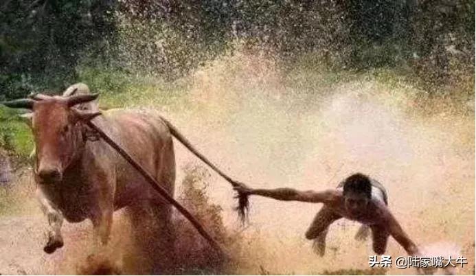 股市踏空段子手都来吐槽了,股市严重踏空是什么感觉