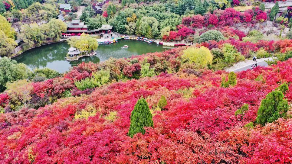 聊城冬季亲子游,聊城儿童暑期旅行攻略