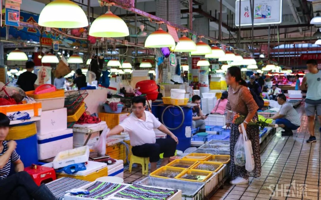 现在的蛇口,南头蛇口