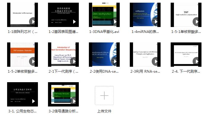 免费资源|PCR+高通量基础组学的相关视频