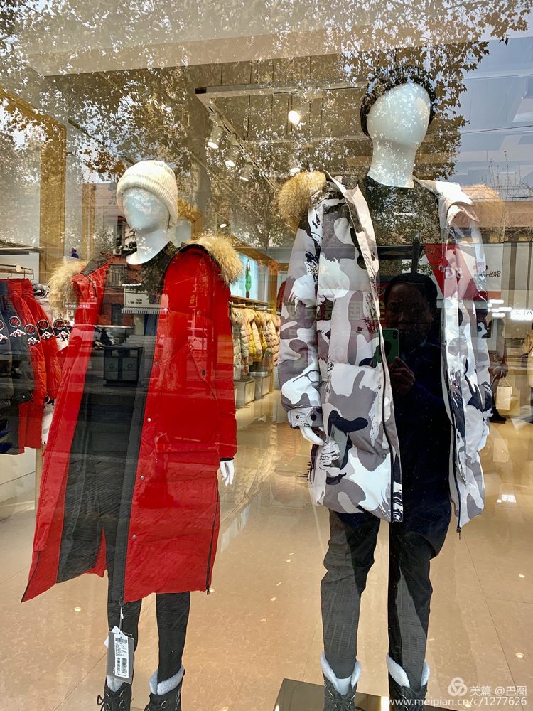 涧西牡丹广场老照片,洛阳牡丹手机拍照