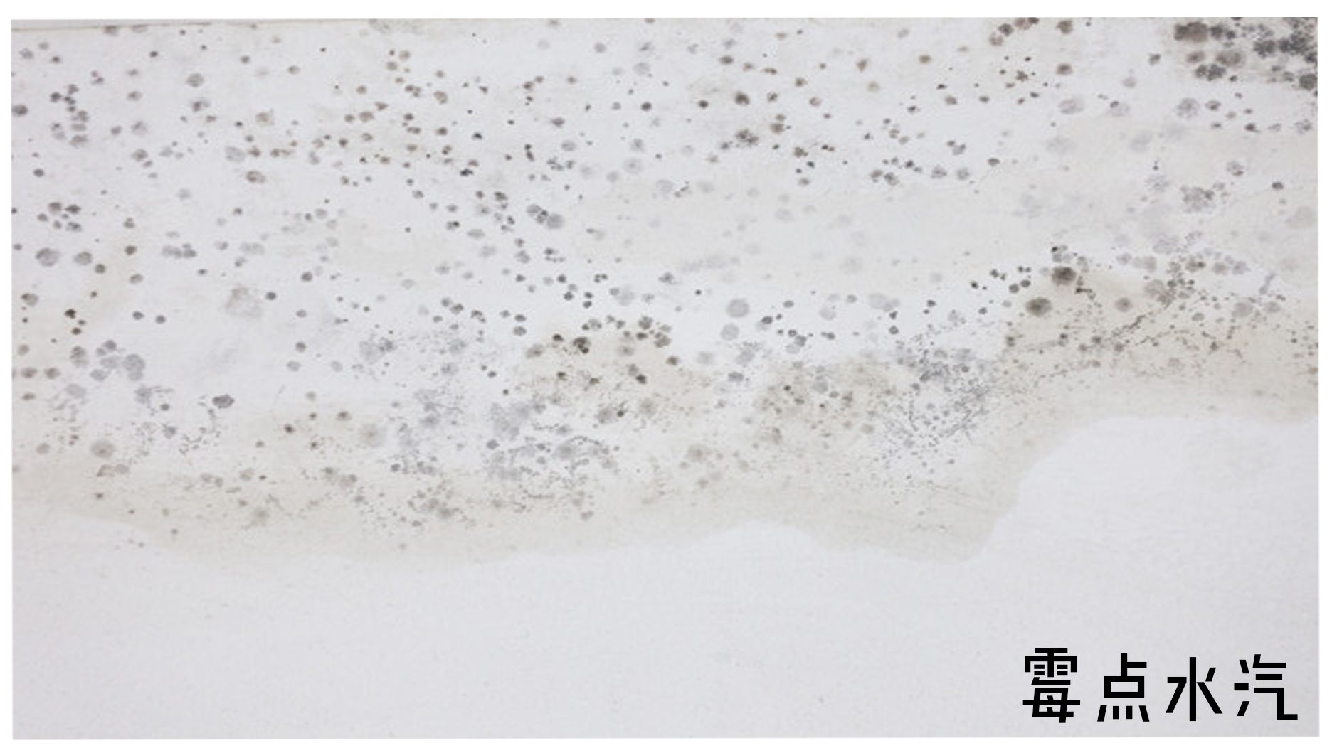 家里装修家具开裂怎么处理,家具门框开裂怎么处理