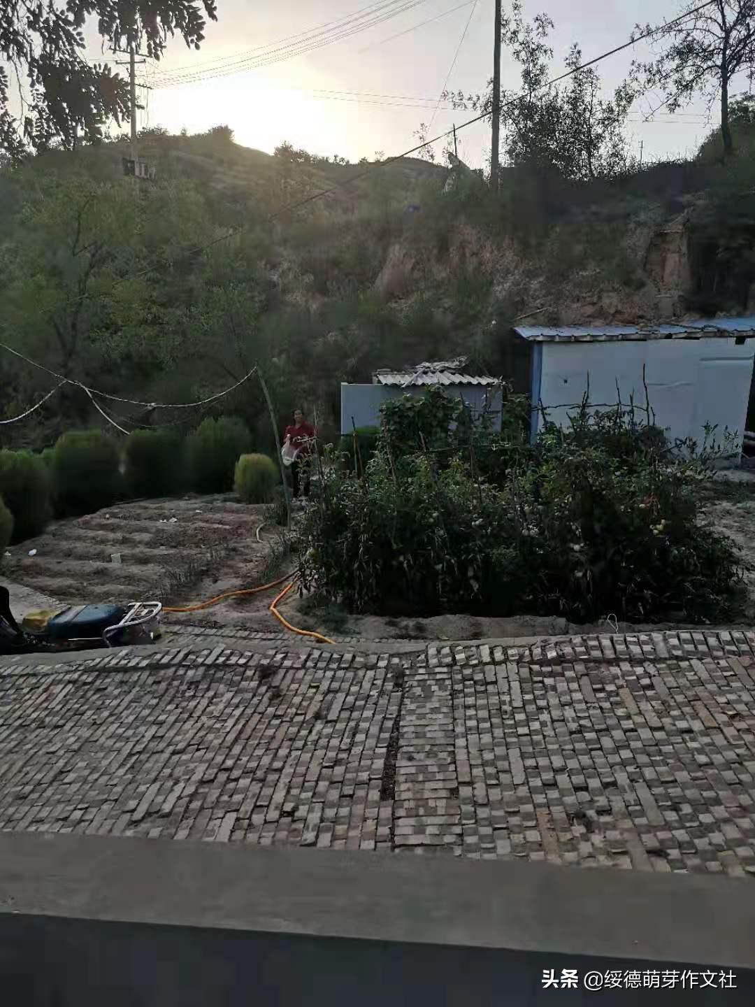 风雨兼程中的郝家桥