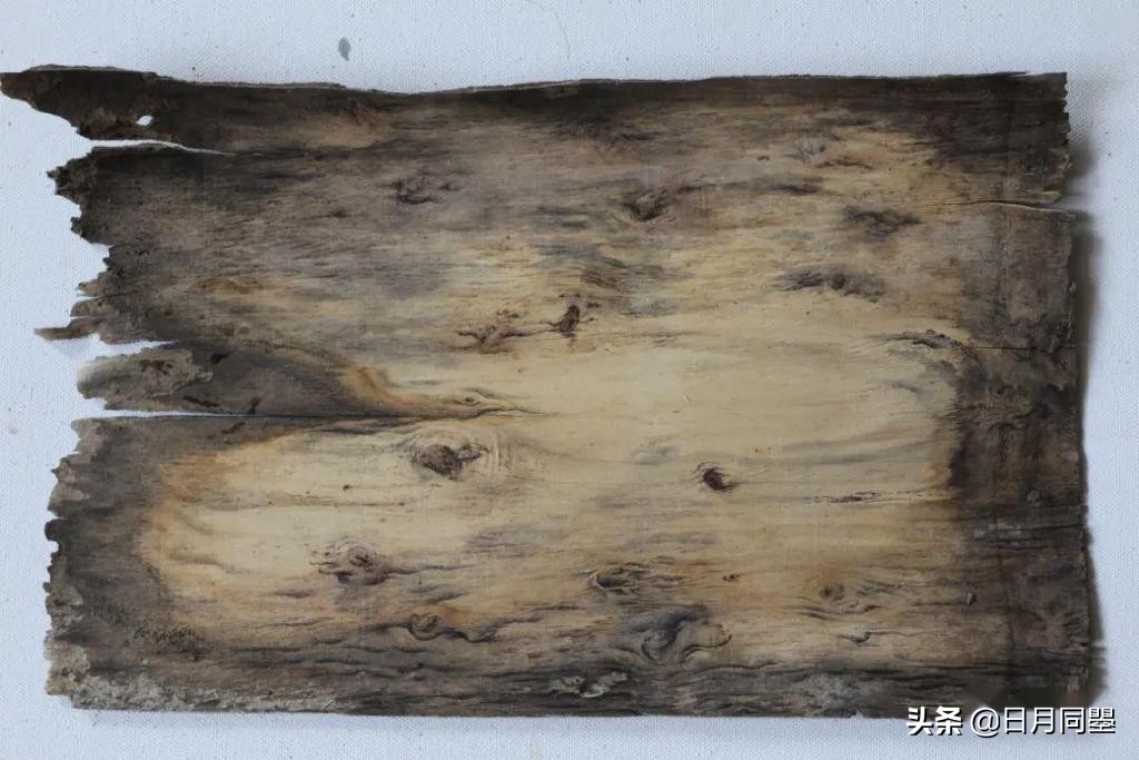 往事丨1992年,他们在武汉策划了一次消毒艺术运动