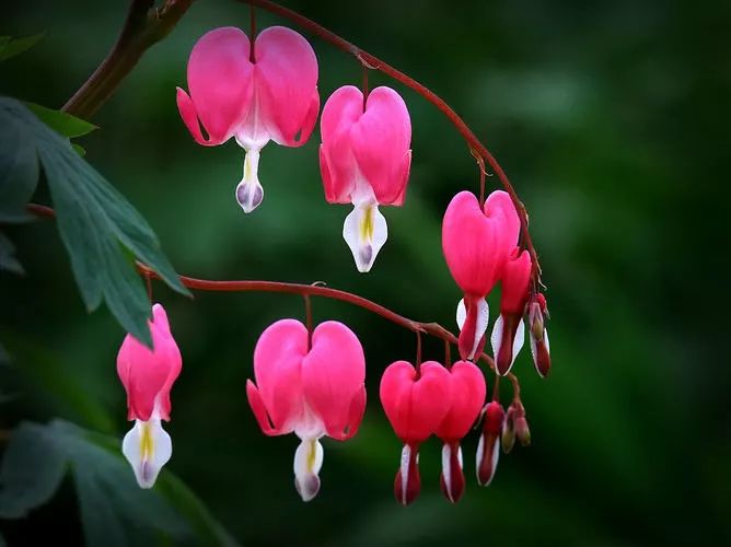 这把伞诗歌:《四月童话》