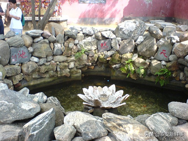 泰山斗姆宫尼姑,泰山斗母宫和斗姥宫