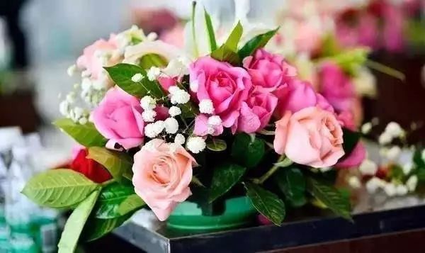 插花必学技巧如何学习插花,怎么插花教程简单