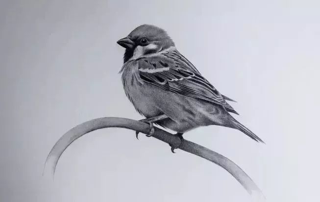 十二星座动漫眼睛画法可爱简单,斗罗大陆小舞动漫的简单画法