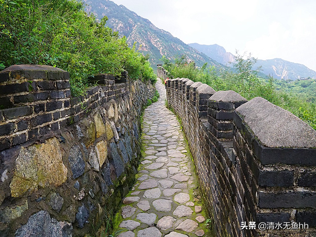 铁马冰河入梦来是什么意思,铁马冰河入梦来的上一句是什么