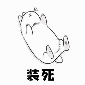 杀死装死的北美负鼠,会装死的猫