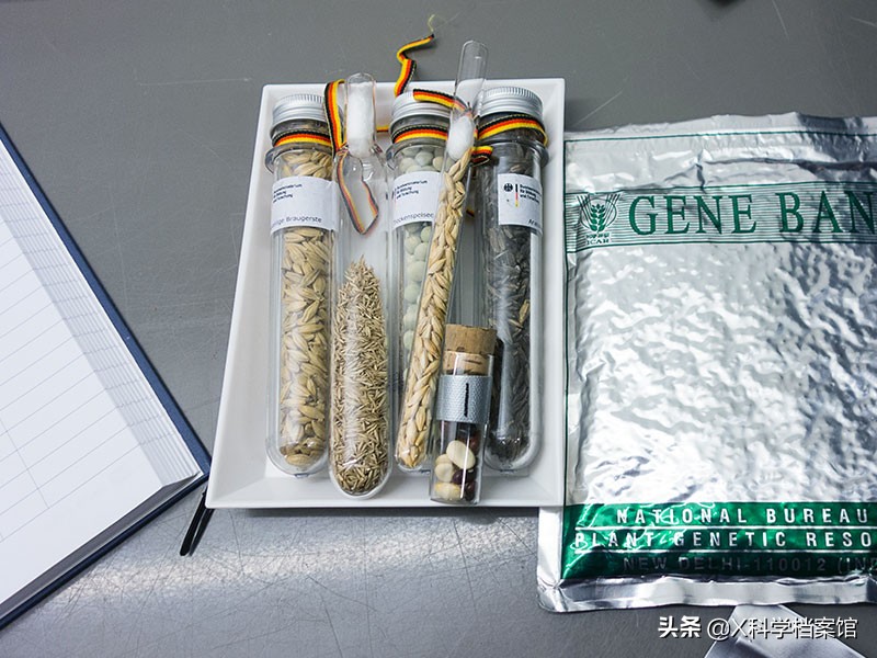 禁止人类参观的地方有哪些,世界禁忌之地排行榜