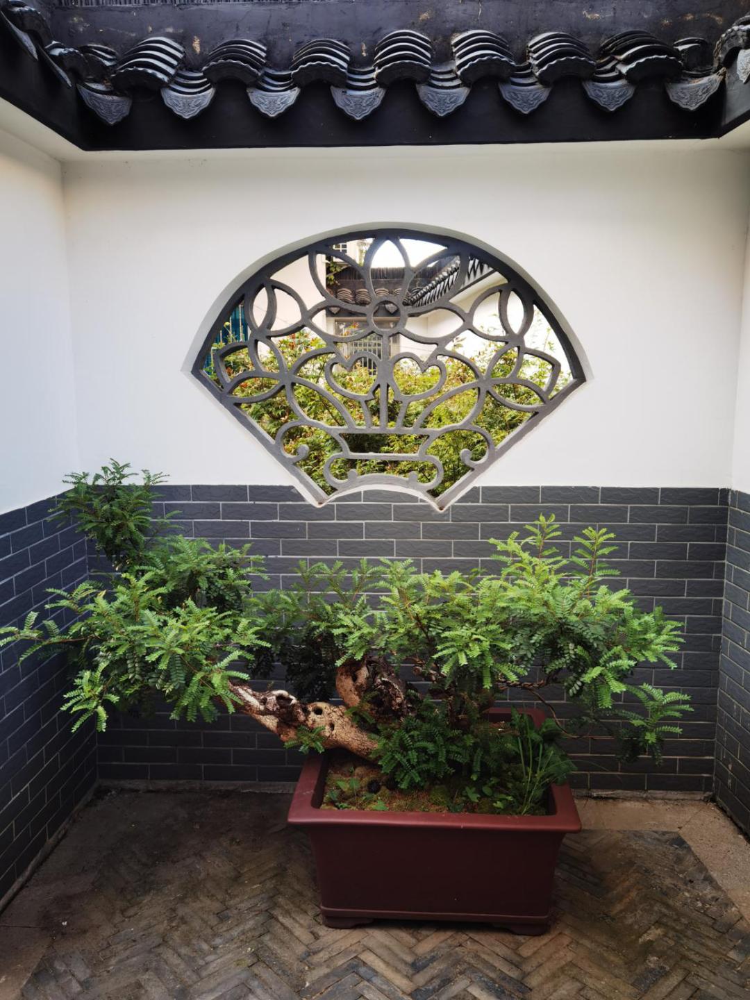 江阴人少景美,江阴有哪些人文景观