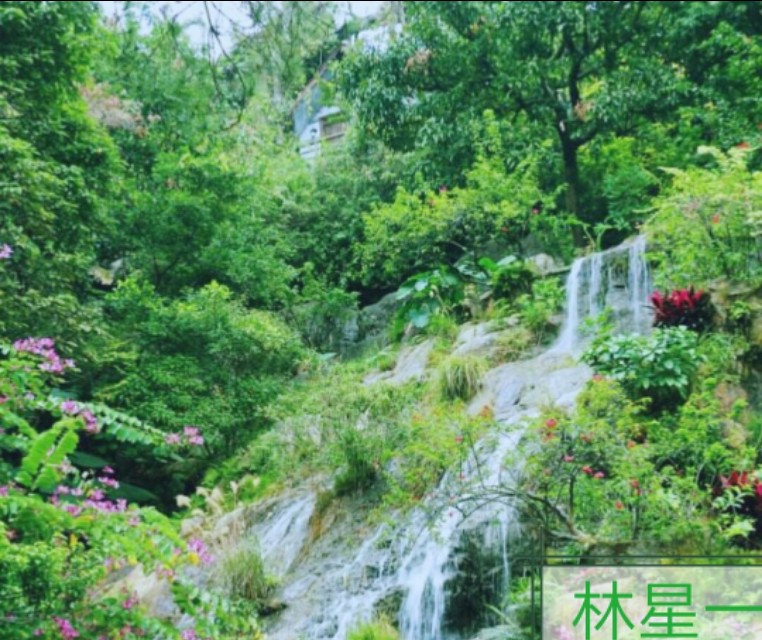 深圳世界公园景点,深圳青青世界景点地址查询